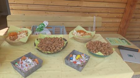 Po domače med vrtovi na Čečovju